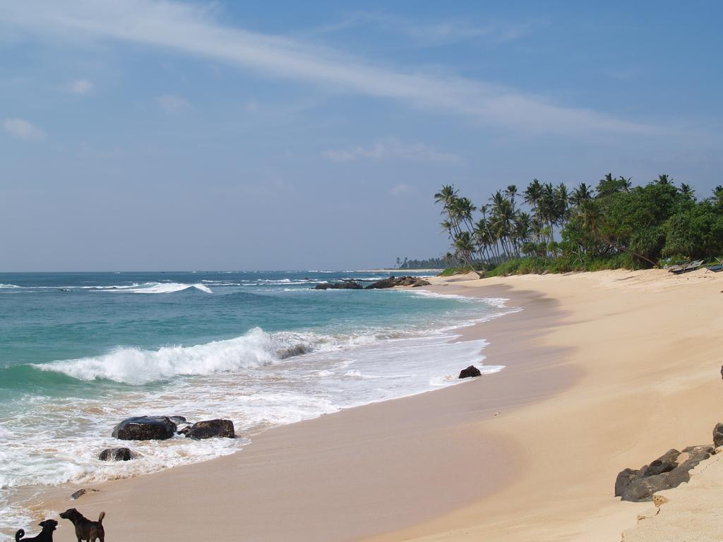 Imagine Villa Hotel 4*
